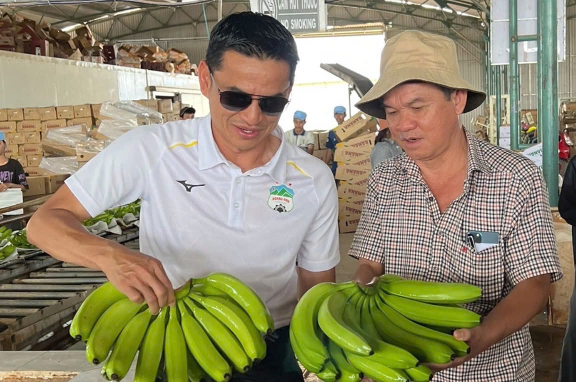 Lộ diện đại gia bao tiêu cả nghìn ha chuối
