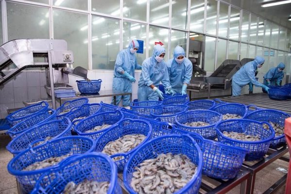 Doanh thu tháng 2 của Sao Ta (FMC) tăng 85%