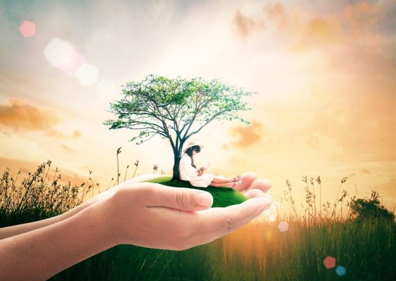 Top 10 cổ phiếu tăng/giảm mạnh nhất tuần: Nhóm Vingroup khởi sắc, nhiều mã khoáng sản bị chốt lời