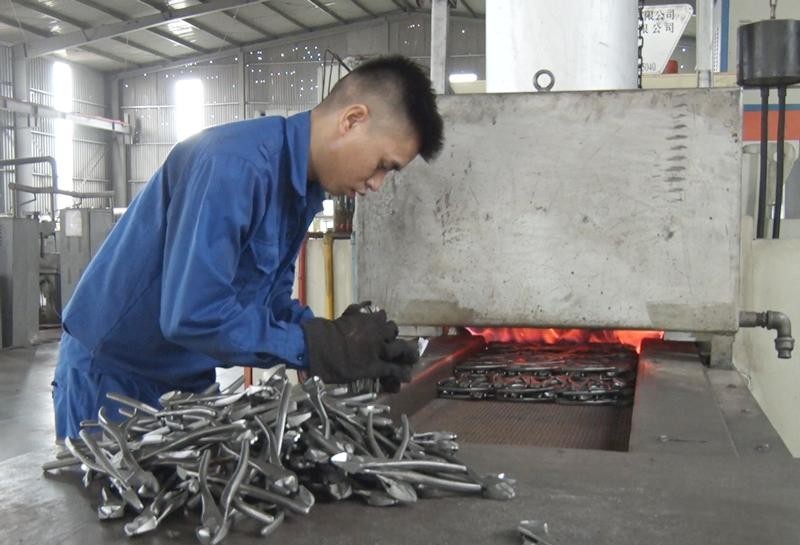MEINFA (MEF) chốt quyền chia cổ tức 50% bằng tiền mặt ngay sau Đại hội