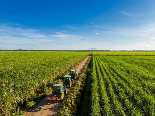 TTC AgriS hoàn thành hơn 83% kế hoạch doanh thu, lợi nhuận năm sau 3 quý, sản lượng vượt mốc triệu tấn