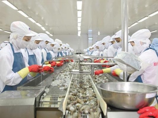 Thuỷ sản Minh Phú lên kế hoạch lãi lớn trong năm 2025.