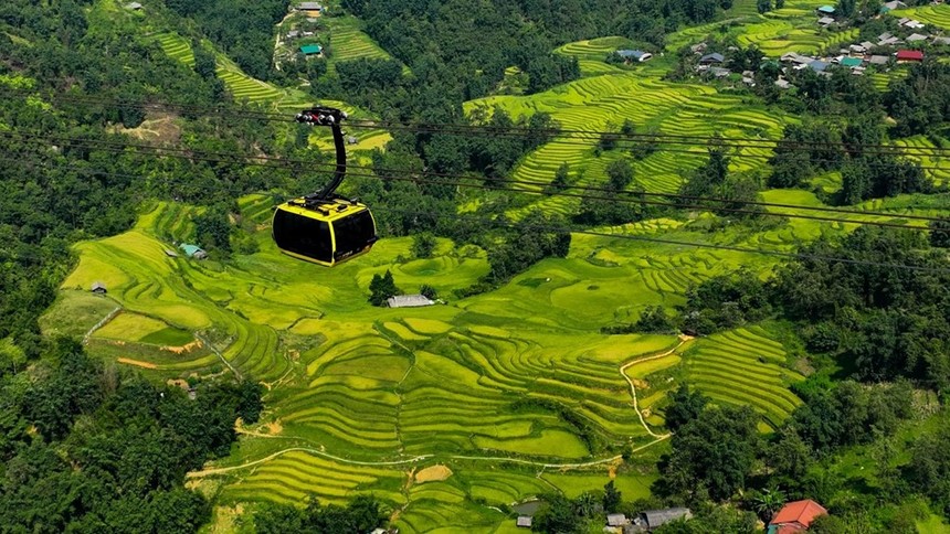 Công ty Cáp treo Fansipan công bố kết quả kinh doanh 2024