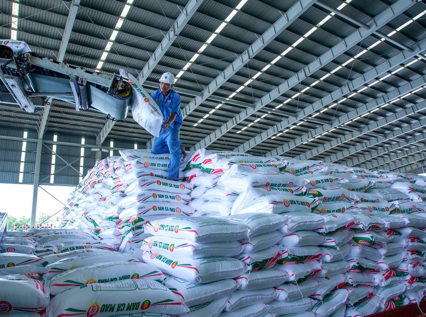 Ngay sau đại hội, PVCFC (DCM) chốt quyền chia cổ tức 20% bằng tiền mặt