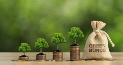 Phát hành trái phiếu xanh: Chi phí có là rào cản?