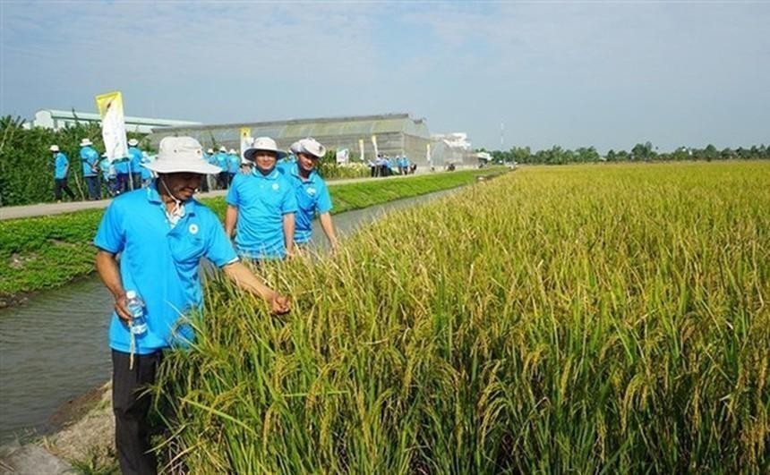 Lộc Trời (LTG) lùi thời gian tổ chức Đại hội đồng cổ đông năm 2025 sang ngày 21/7