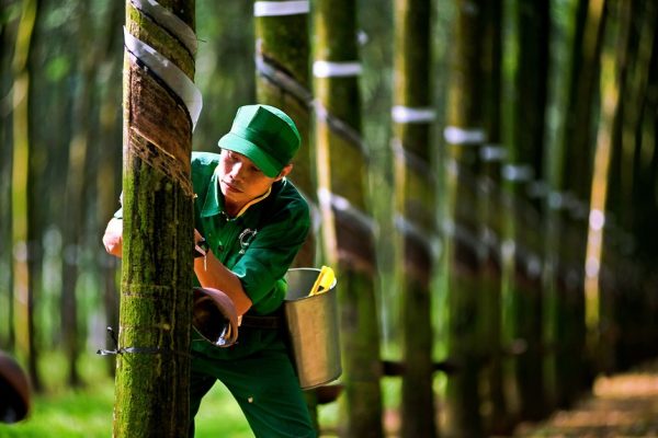 Cổ phiếu cần quan tâm ngày 9/7