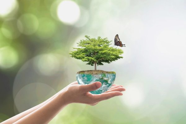 Sự kiện chứng khoán đáng chú ý ngày 25/7
