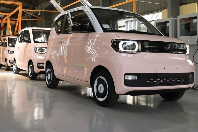 Cổ phiếu Ô tô TMT (TMT) tiếp tục nằm trong diện cảnh báo do còn lỗ luỹ kế 215,03 tỷ đồng