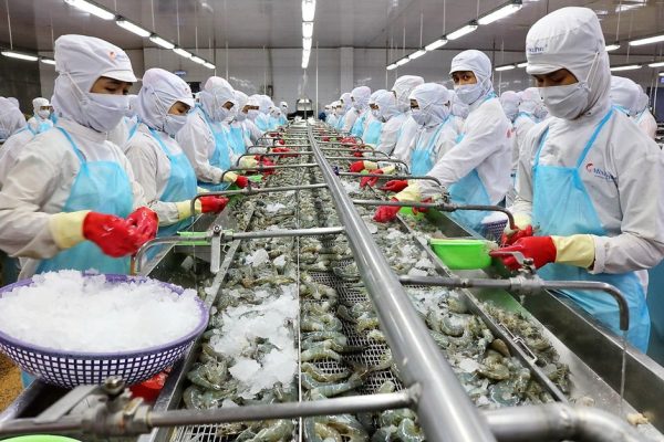 Thuỷ sản Minh Phú (MPC) báo lãi quý II/2025 gấp 4,3 lần cùng kỳ