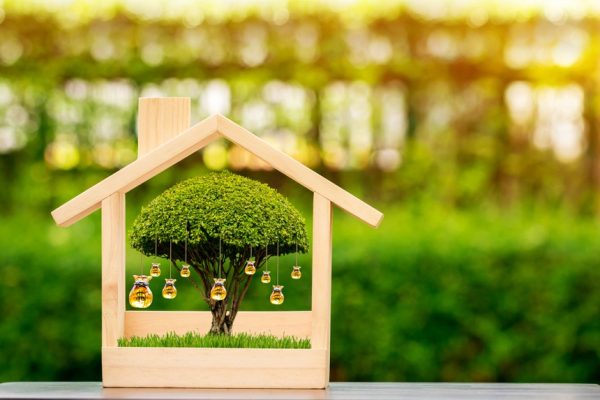 Top 10 cổ phiếu tăng/giảm mạnh nhất tuần: Cặp đôi "Tiên Phong" dậy sóng, nhóm nông nghiệp khởi sắc