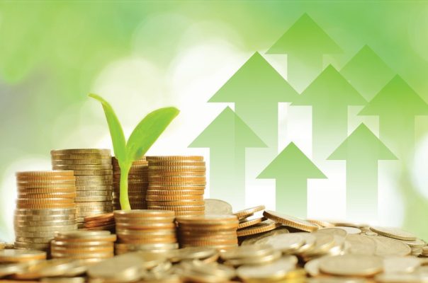 Tài chính bền vững: Bài học cho doanh nghiệp niêm yết