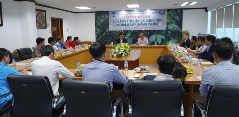Hoàng Anh Gia Lai (HAG) và WASI hợp tác cung ứng 30 triệu cây giống cà phê chất lượng cao