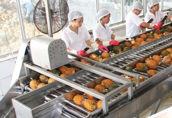 Afiex (AFX) sẽ chính thức giao dịch trên HOSE vào ngày 8/12 với giá tham chiếu 11.300 đồng/cổ phiếu