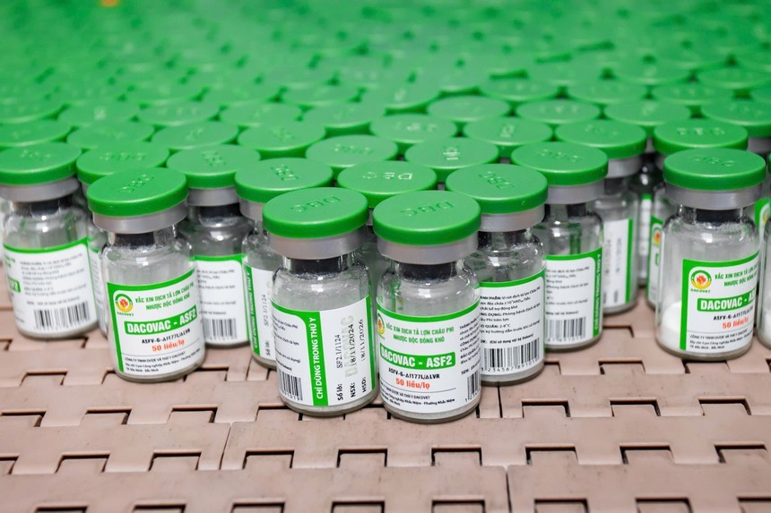 01-6131-5483-1 Lãnh đạo Dabaco Việt Nam (DBC) vừa bán ra 103.500 cổ phiếu