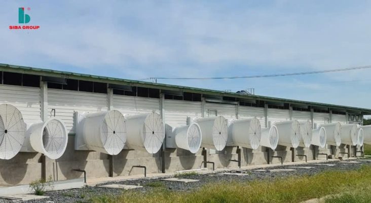 Lãi quý III/2025 của Siba Group (SBG) giảm tới 75,3%, về 4,33 tỷ đồng