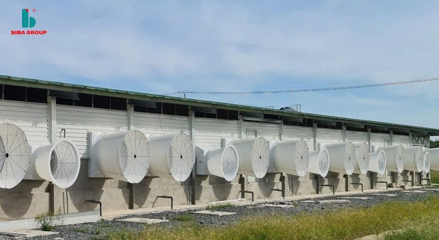 01-9286-9623 Lãi quý III/2025 của Siba Group (SBG) giảm tới 75,3%, về 4,33 tỷ đồng