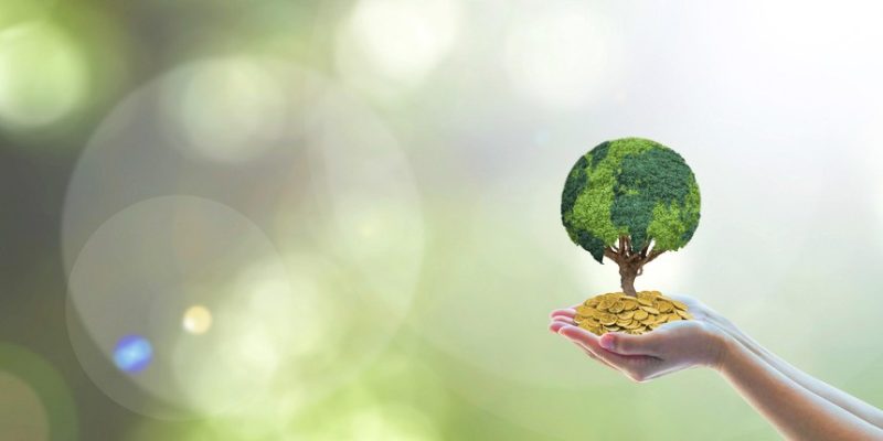 Top 10 cổ phiếu tăng/giảm mạnh nhất tuần: Nhóm nhà Vingroup vượt trội