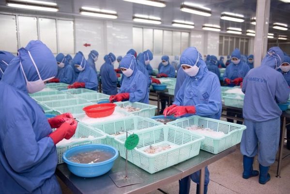 Cổ phiếu cần quan tâm ngày 5/11