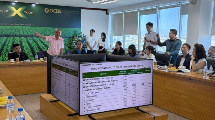 Ông Đoàn Nguyên Đức trình bày với đại diện quỹ đầu tư và công ty chứng khoán về sức khỏe tài chính của HAGL.