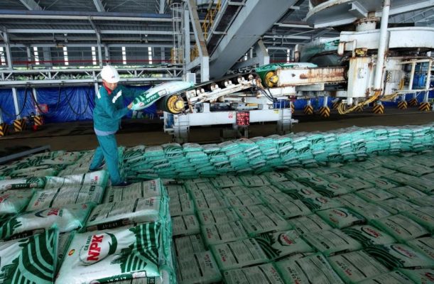 9 tháng, Phân bón Cà Mau (PVCFC - DCM) đạt hơn 1.600 tỷ đồng lợi nhuận trước thuế