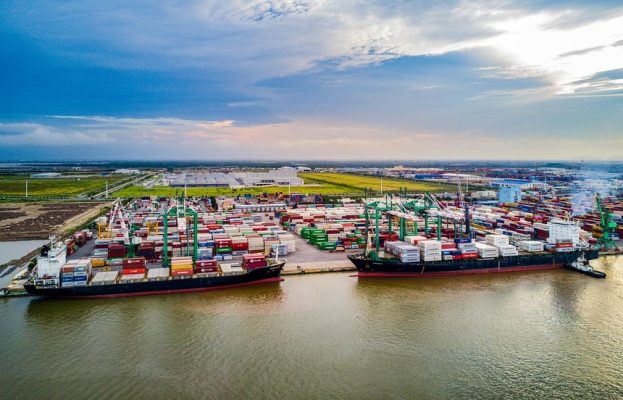 Cảng Xanh VIP (VGR) tạm ứng cổ tức năm 2025, tỷ lệ 20% bằng tiền