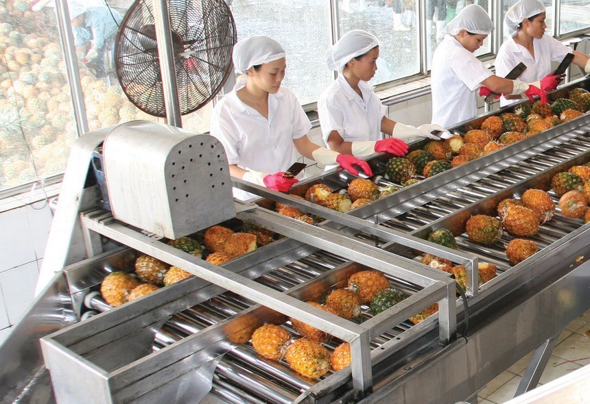 01-4028-3351-1 Afiex (AFX) sẽ chính thức giao dịch trên HOSE vào ngày 8/12 với giá tham chiếu 11.300 đồng/cổ phiếu