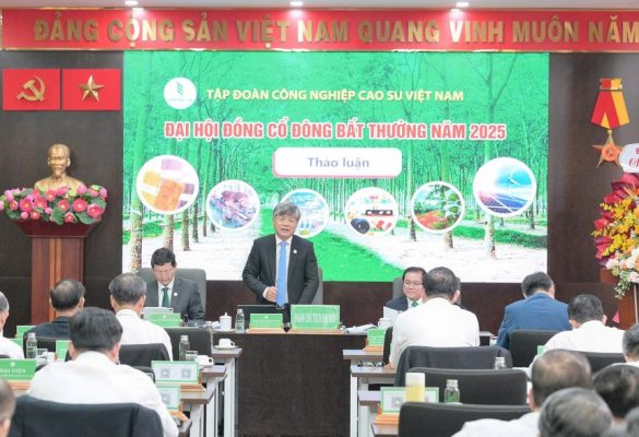 ĐHCĐ bất thường Tập đoàn Cao su Việt Nam (GVR): Chuẩn bị đầu tư 2.604 ha khu công nghiệp từ đất cao su chuyển đổi