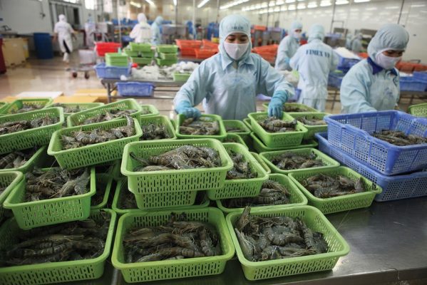 Xuất khẩu lập đỉnh đang tạo lực đỡ cho cổ phiếu thủy sản bước vào chu kỳ mới