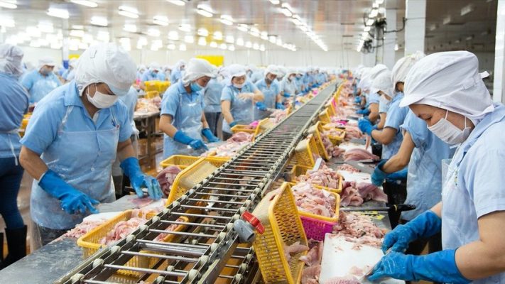 Chủ tịch HĐQT Nam Việt (ANV) muốn thoái toàn bộ vốn