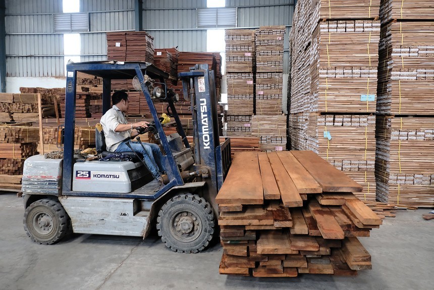 01-4213-8058 Ghi nhận lãi hơn 634 tỷ đồng trong năm 2025, Phú Tài (PTB) lên kế hoạch lãi 760 tỷ đồng trong năm 2026