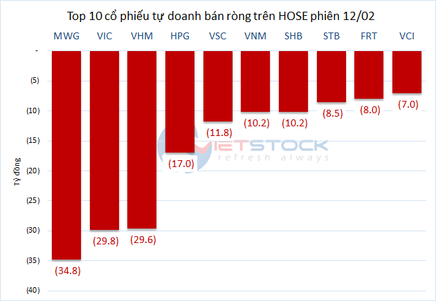 tu-doanh-20260212-ban-1