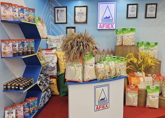 AFIEX (AFX) báo lãi lớn năm 2025 sau khi lên sàn HoSE