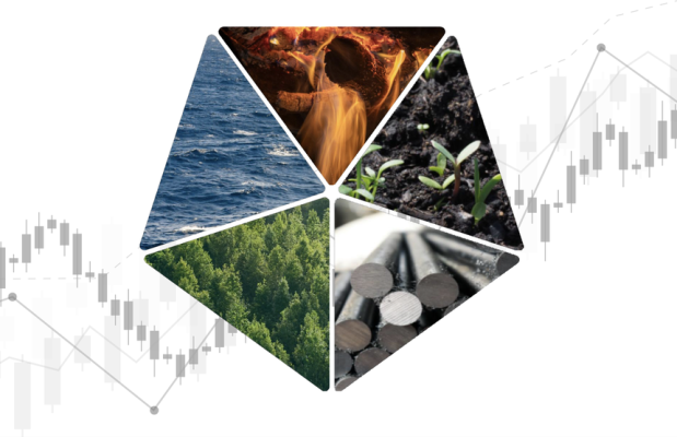 Cân não chọn danh mục