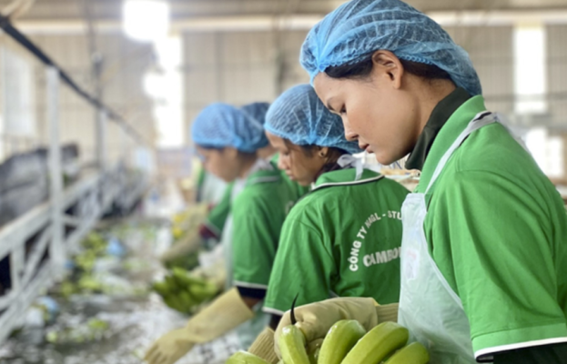 Bầu Đức mua 5 triệu cổ phiếu Hoàng Anh Gia Lai (HAG) trong 6 phiên giao dịch