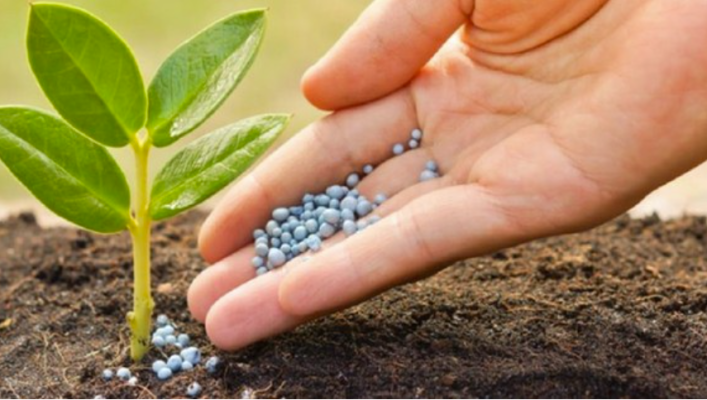 Chỉ số VN-Index giảm gần 20 điểm, nhóm hóa chất-phân bón vẫn dậy sóng