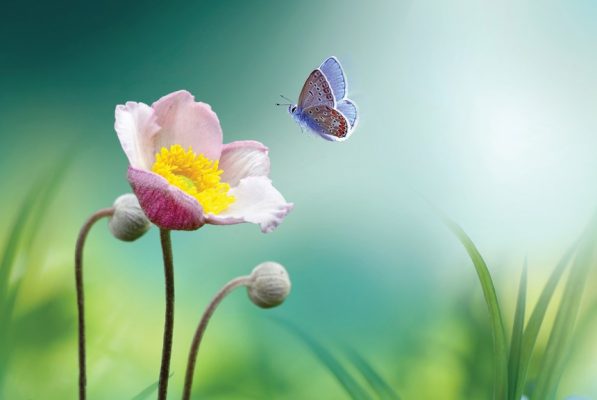 Dòng tiền thông minh luôn biết chọn đúng địa chỉ để chảy vào.