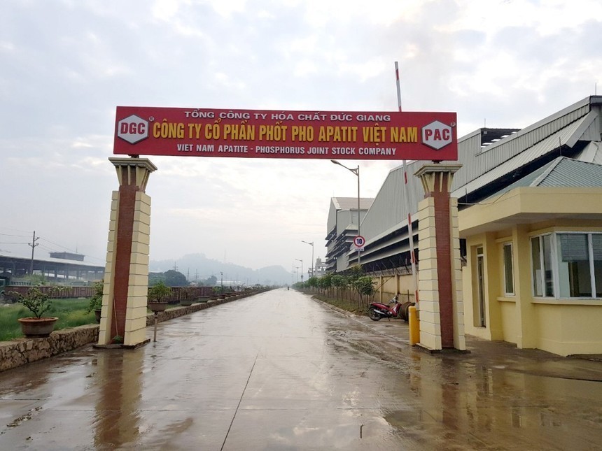 01-4743-8501-1 Apatit Việt Nam (PAT) lên kế hoạch thay 4/5 thành viên HĐQT