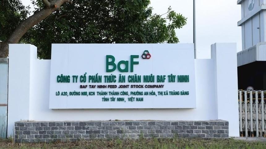01-6038-700-2 BaF Việt Nam (BAF) có Giám đốc Tài chính mới