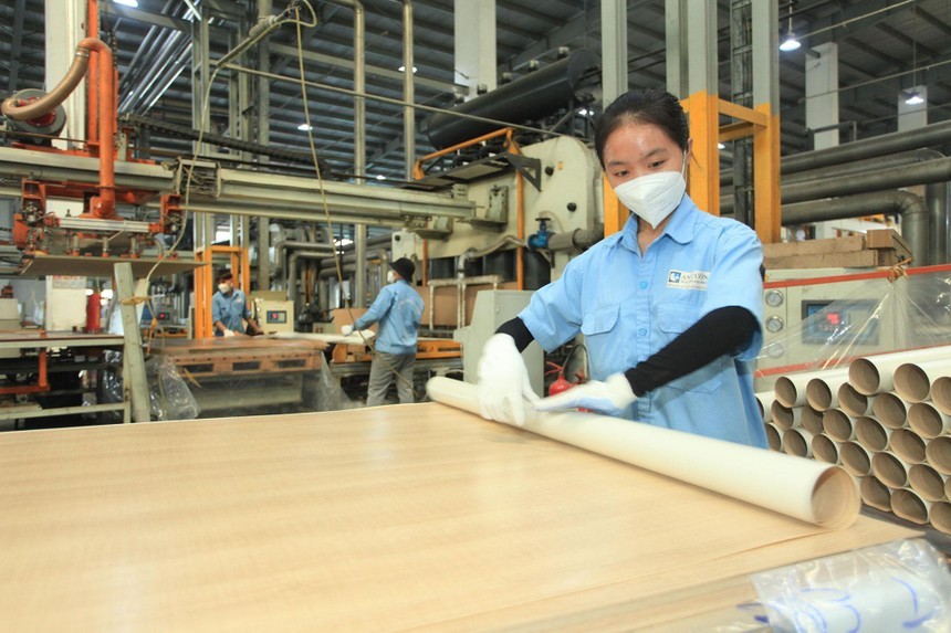 01-6123-3036-1 Gỗ An Cường (ACG): Trước thềm Đại hội đồng cổ đông người của quỹ VinaCapital xin từ nhiệm
