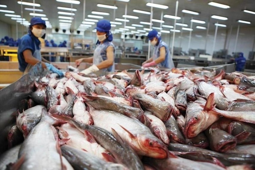 01-7337-8634-1 Doanh thu Vĩnh Hoàn (VHC) đạt 838 tỷ đồng trong tháng 2/2026