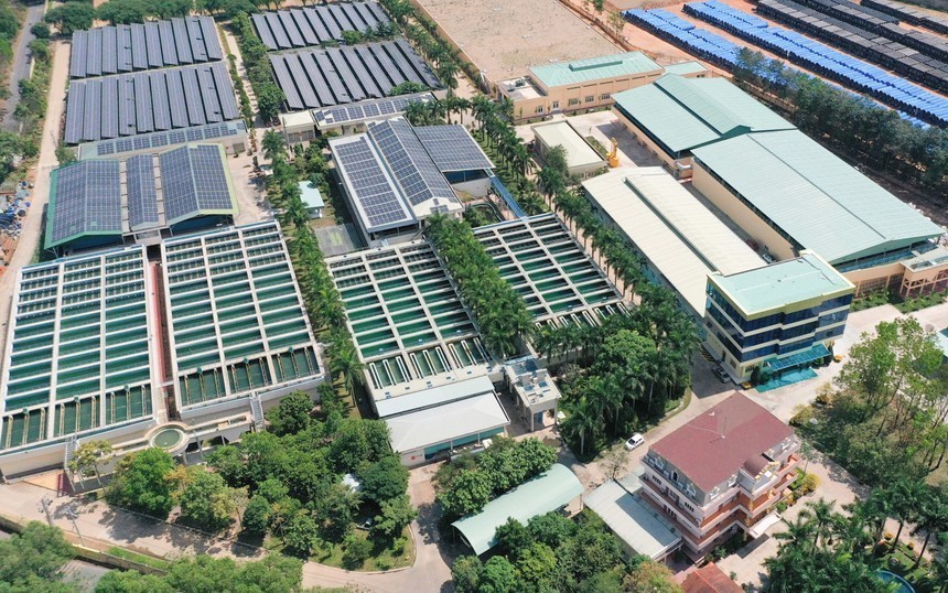 01-8569-3779 BIWASE (BWE) nâng cấp 8 chi nhánh lên 4 công ty con