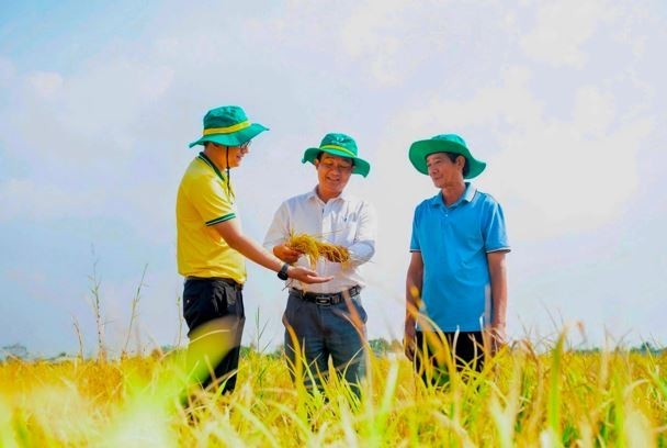 pvcfc-1-2777-6047-3768-9584-1 Phân bón Dầu khí Cà Mau (DCM) đặt kế hoạch lợi nhuận sau thuế 1.200 tỷ đồng, cổ tức 10% trong 2026