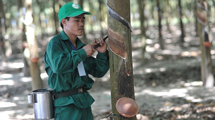 01-2866-2042 Cao su Phước Hoà (PHR): Lãi đột biến quý I/2026 nhờ bồi thường thực hiện dự án