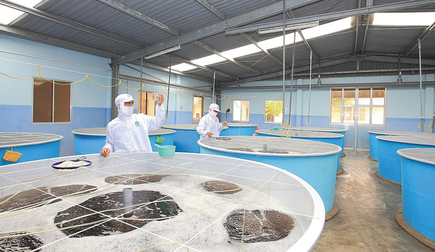 01-5624-7021-1 Lãnh đạo Thủy sản Minh Phú (MPC) muốn bán ra 275.000 cổ phiếu