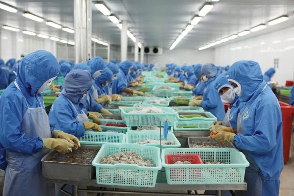 Xuất khẩu vẫn duy trì tăng trưởng tích cực, nhưng đà phục hồi sản xuất đang có dấu hiệu chậm lại