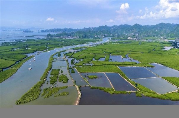 HNX ký kết biên bản phối hợp, hoàn thiện hạ tầng vận hành sàn giao dịch các-bon