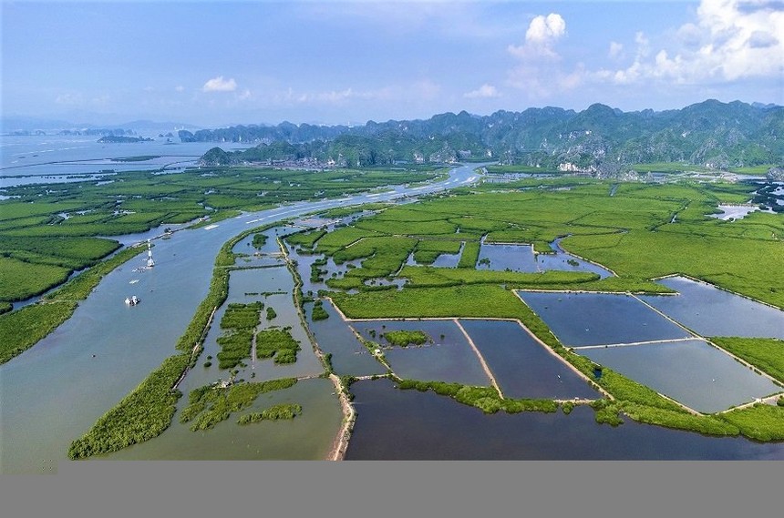 hai-phong-muon-nguon-thu-tu-giao-dich-tin-chi-cac-bon-duoc-tai-dau-tu1745378448-7283 HNX ký kết biên bản phối hợp, hoàn thiện hạ tầng vận hành sàn giao dịch các-bon