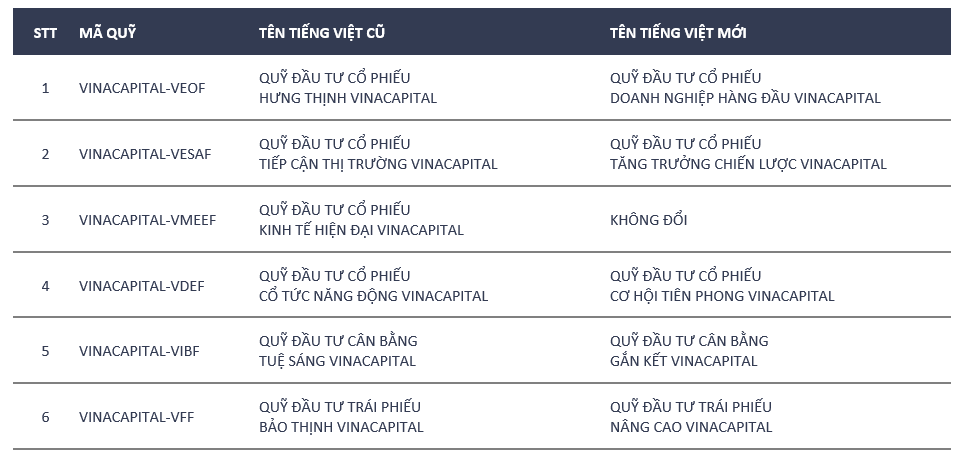 vina-quy-mo