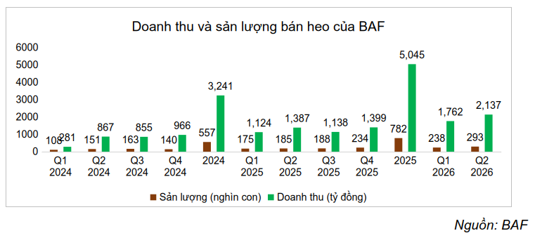 baf-q2-2026-2
